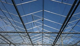 Meat consumer segmentation tool